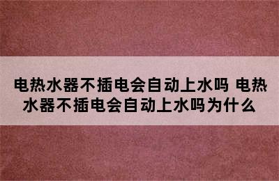 电热水器不插电会自动上水吗 电热水器不插电会自动上水吗为什么